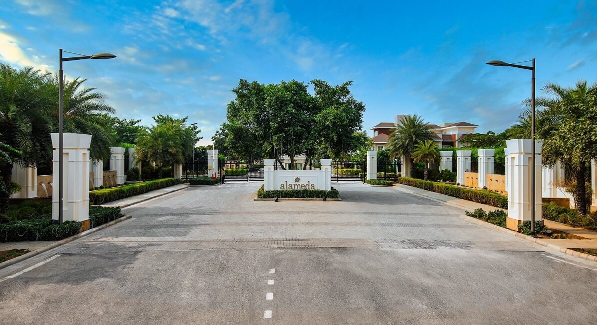 dlf-alameda-plots